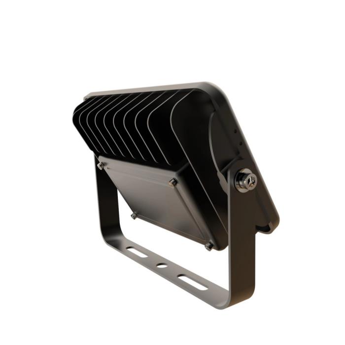 75W LED Flood Light