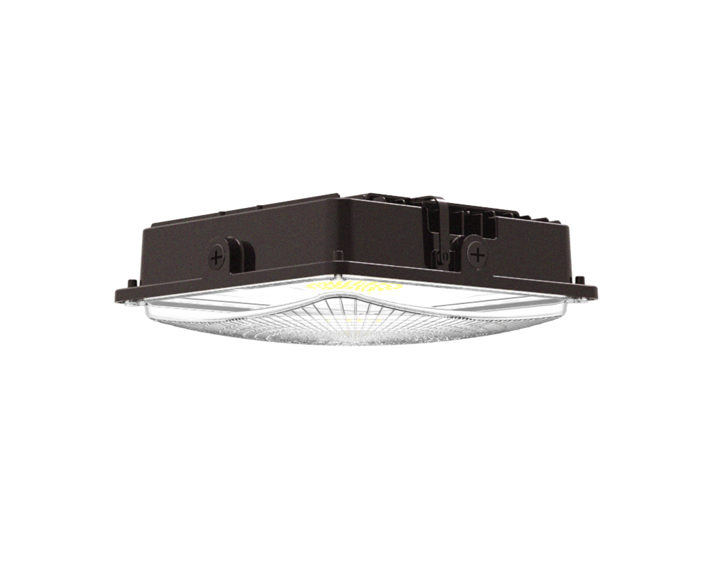 LED Canopy Light